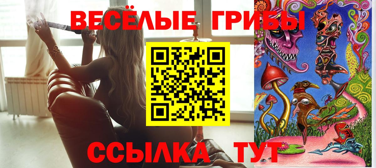 Галлюциногенные грибы прущие грибы  Псилоцибиновые грибы GOLDEN TEACHER  Вход с VPN  Борисоглебск 