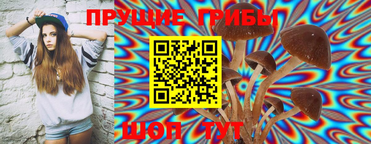 Псилоцибиновые грибы MAGIC MUSHROOMS Борисоглебск